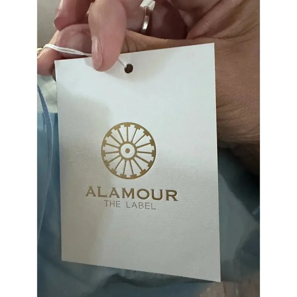 NWT Alamour the label Blue mini Dress Size 4 - Picture 8 of 11